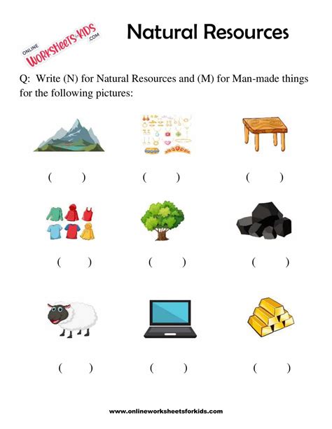 Natural Resources Worksheet 1st Grade