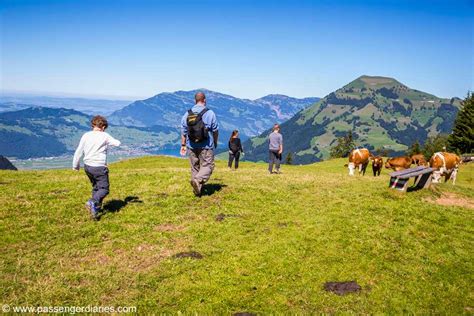 Lucerne Hiking: Stanserhorn & Geo-Trial Private Hiking Tour