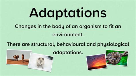 Adaptation in Species | Science Quiz - Quizizz