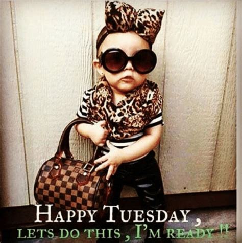 happy tuesday images funny - Mrstolisano