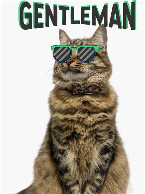 "Gentleman cat funny meme design" Sticker for Sale by AwsomeStore | Redbubble