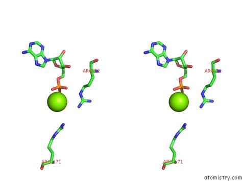 Magnesium in PDB 4pfk: Phosphofructokinase. Structure and Control