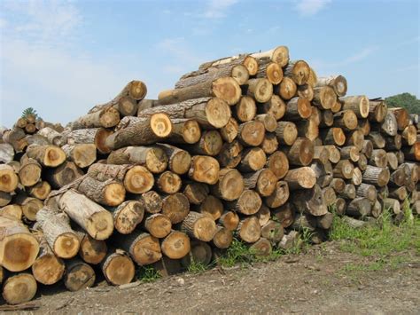 Logs & Lumber | Riephoff Sawmill