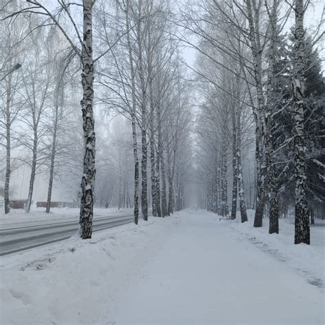 How To Survive Siberian Winter? — No1 Guide - Young Pioneer Tours