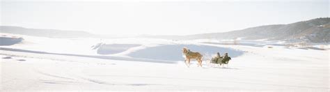 Steamboat Sleigh Ride Wedding at Haymaker - Andy Barnhart Wedding Photography