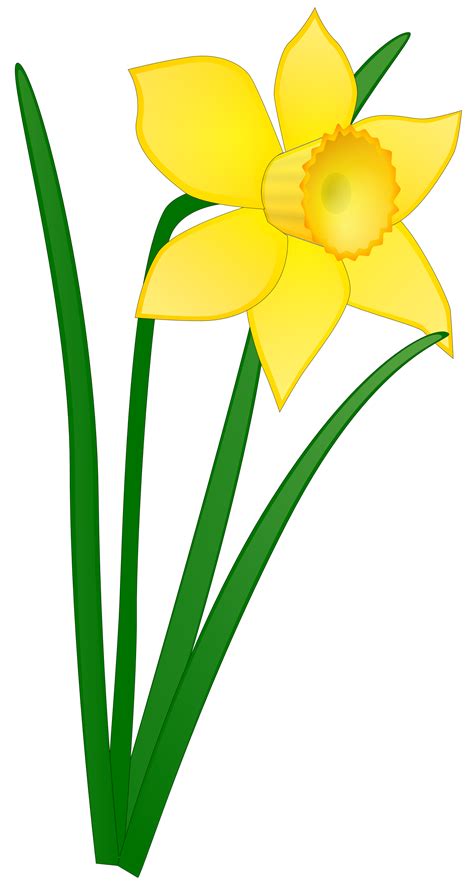 Daffodil Flower Clip Art Clipart Panda Free Clipart Images | Flower ...