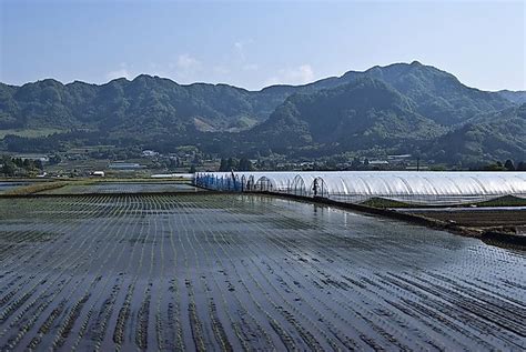 What Do You Know About The Island Of Kyushu? - WorldAtlas.com