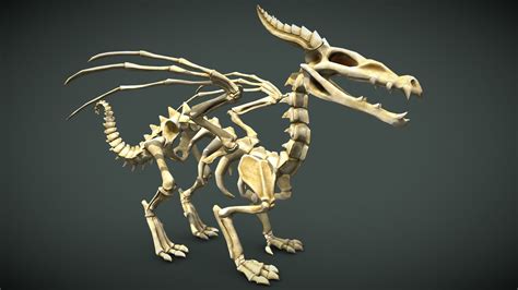 Dragon Skeleton - 3D model by Lynda Murray (@impdragon) [9556f12] - Sketchfab