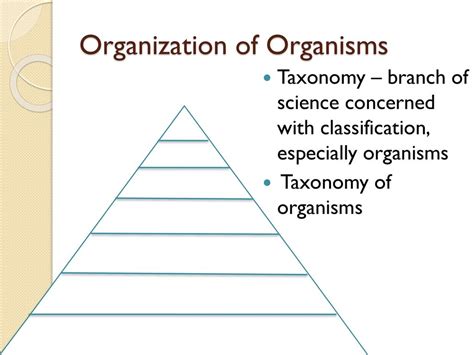 Speciation & Population Change - ppt download