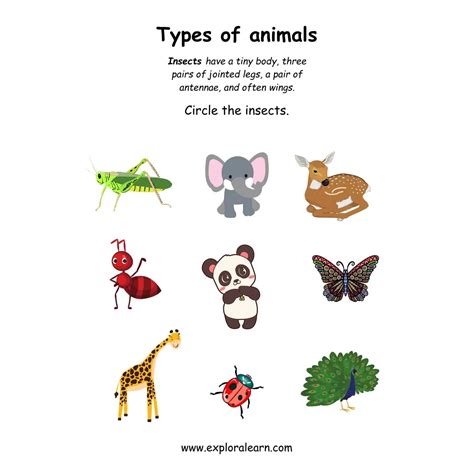 Free Exploralearn Worksheets, Animals Worksheets,Animal Identification