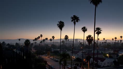 sky, Sunset, Los Angeles, Palm trees, Cityscape Wallpapers HD / Desktop ...