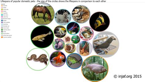 Lifespans of fish and other animals - INJAF