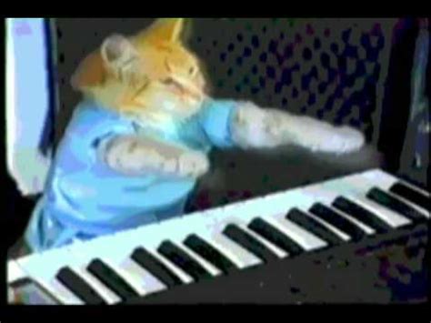 Keyboard Cat (Remix) - YouTube