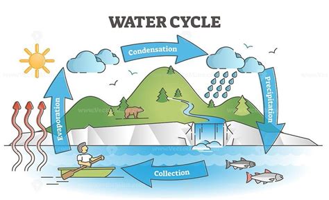 Water cycle diagram with simple rain circulation explanation ...