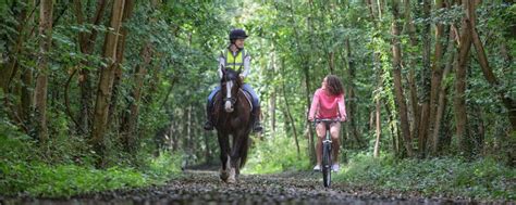 Meon Valley Trail | Things to do in Hampshire | Hampshire County Council