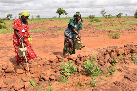 In Niger, women pool money to build business | PBS News