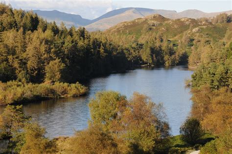 The Tarns, Tarn Hows © Philip Halling cc-by-sa/2.0 :: Geograph Britain ...