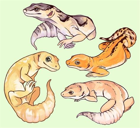 Cute Leopard Gecko Drawing