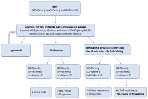 Medicina | Free Full-Text | New Insights into the Fluid Management in Patients with Septic Shock