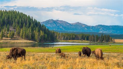 National Parks Are Changing Reservation Rules This Fall | Condé Nast ...