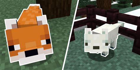 Minecraft: How to Breed Foxes | Screen Rant