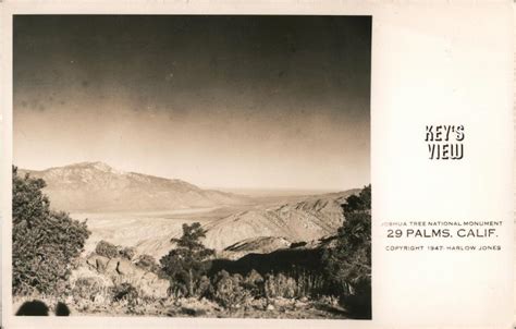 Joshua Tree National Monument Twentynine Palms, CA Postcard