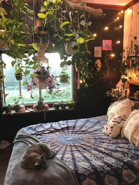 a cat sleeping on top of a bed in front of a window with plants hanging ...