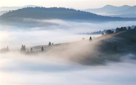 Obiceiuri si traditii de Craciun in Bucovina