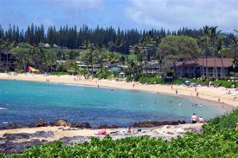 Napili Bay | Maui Condo Homes