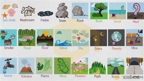 Nature Words: Useful Nature Vocabulary in English • 7ESL