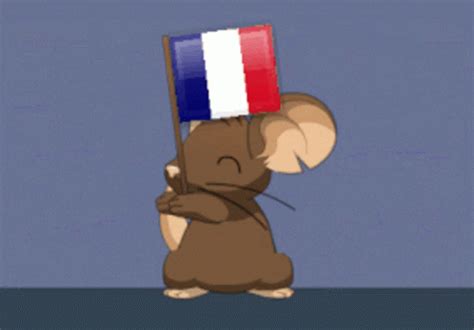 Flag Gif, Flag Animation, France Flag, Qatar, Animated Gif, Cool Gifs, Mouse, Waves, Discover