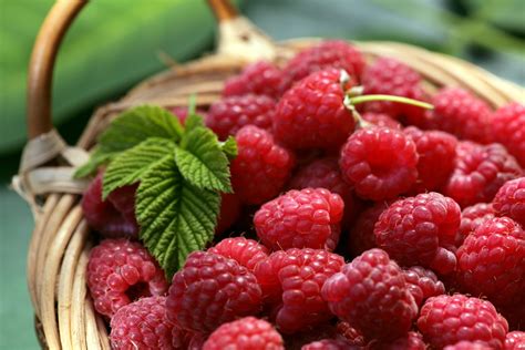 Raspberries: The Delicious Aggregate Fruit | Exotic Gourmand