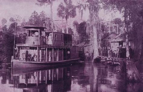 On the Ocklawaha River, Florida stock image | Look and Learn