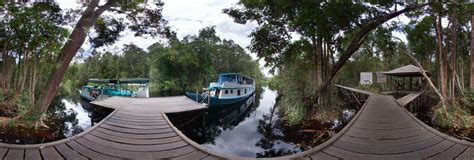 Camp Leakey, Tanjung Puting National Park, Kalimantan 360 Panorama | 360Cities