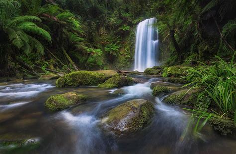 Download Melbourne Victoria (Australia) Fern Nature Australia Waterfall HD Wallpaper