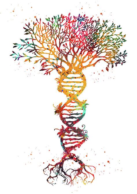 Dna Symbols And Family Trees