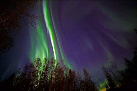 4 Day Northern Lights Vacation from Fairbanks | Sample… | ALASKA.ORG