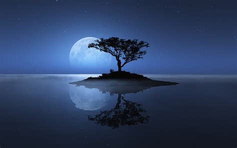 2200x1752 / nature artwork trees moon flowers night wallpaper ...