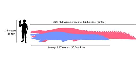 Crocodile bigger than Lolong? [1823 Philippines Crocodile] - Our Planet