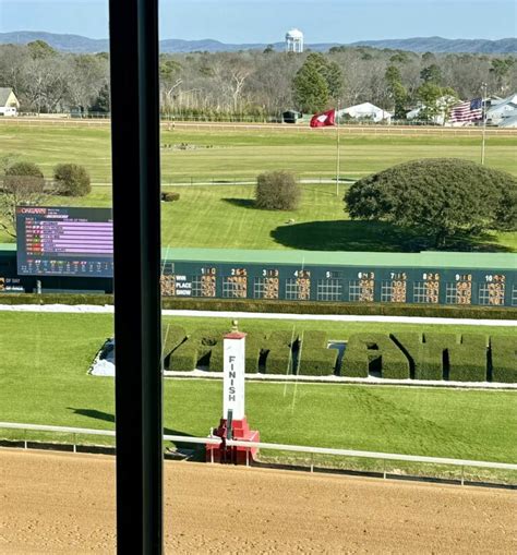 Oaklawn Horse Racing | In the Trees