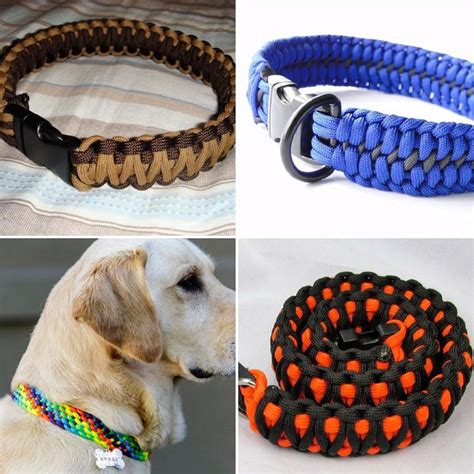 25 DIY Paracord Dog Collar Patterns (Step by Step) - Blitsy