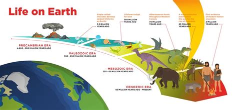 Science, Evolution, and What We Know: 2018 Edition | HuffPost