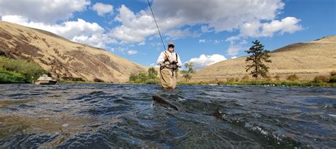 Yakima River Fishing Reports > Red's Fly Shop