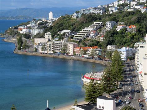 Buildings in Wellington Bay in New Zealand image - Free stock photo - Public Domain photo - CC0 ...