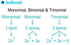 Monomial: Definition, Degree, How to Find a Monomial & Examples