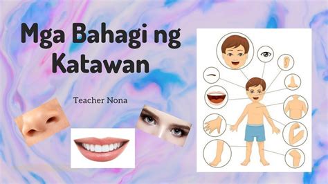 Mga Bahagi Ng Katawan Printable