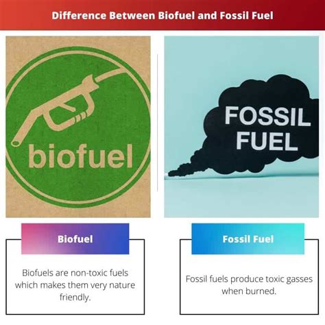 バイオ燃料と化石燃料: 違いと比較