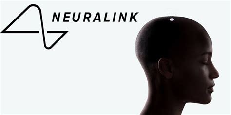 Neuralink December 2023 Updates: A Detailed Look | by Adithya | Medium