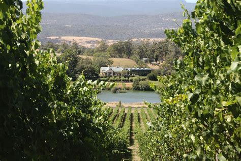 Tasmania's Tamar Valley Wine Country | Travel Insider