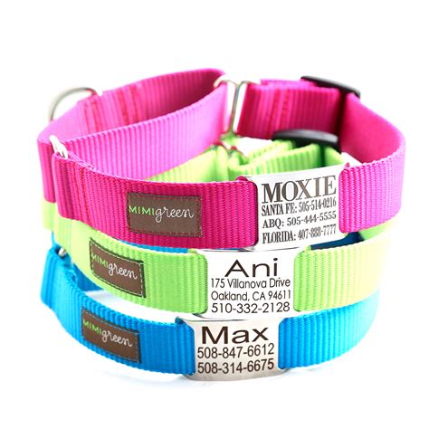 Personalized Martingale Dog Collars with Engraved Nameplate